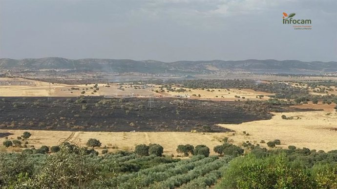 Efectos del incendio en Brazatortas, Ciudad Real.