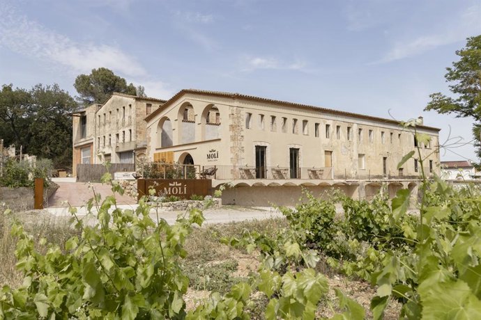 Archivo - La bodega Molí de Parellada se niega a "tirar la toalla" con EE.UU. Pese a los aranceles