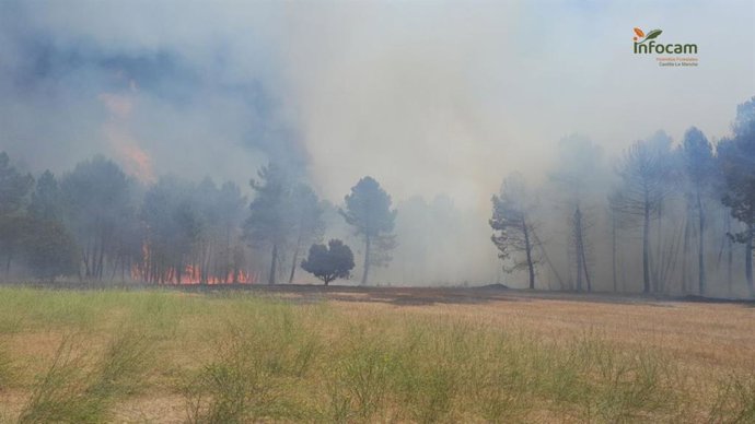 Llamas en el incendio forestal de Almodóvar del Pinar, Cuenca.