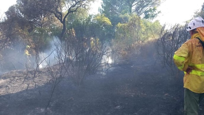 Equipo de Infoca trabajando en el control del incendio declarado en el paraje El Bañuelo, en Córdoba capital.