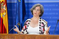 Adelante señala "falta de transparencia" sobre el incendio de la Mezquita y reivindica su titularidad pública