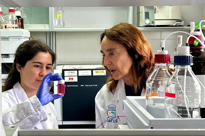 Cristina García-Viguera (drcha.) examina una muestra de la nueva kombucha obtenida a partir de desechos del vino en el laboratorio del CEBAS-CSIC