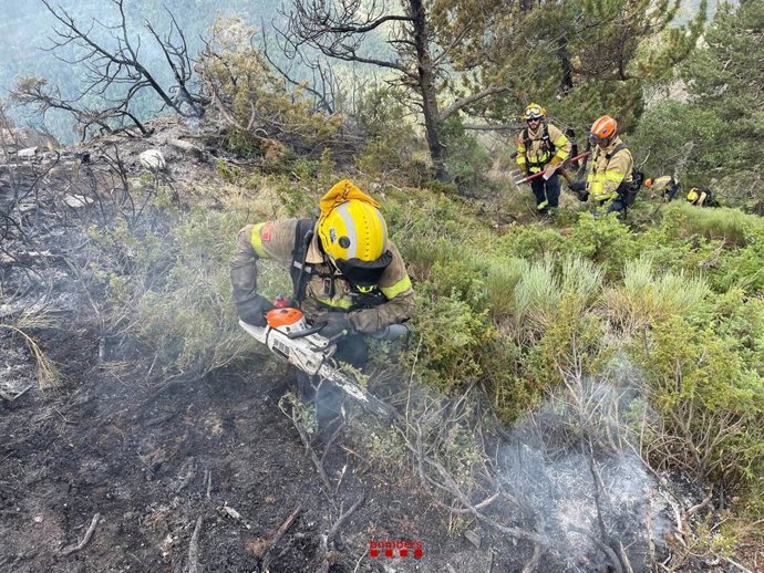 Treball amb eines manuals a Alins