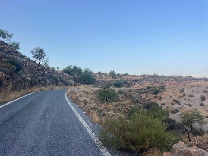 Tramo de la carretera que conecta los municipios de Berja (Almería) y Turón (Granada).