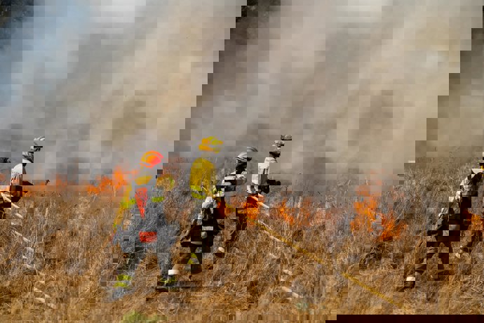 Bomberos forestales de la Junta trabajan frente al incendio originado en Molezuelas de la Carballeda (Zamora)