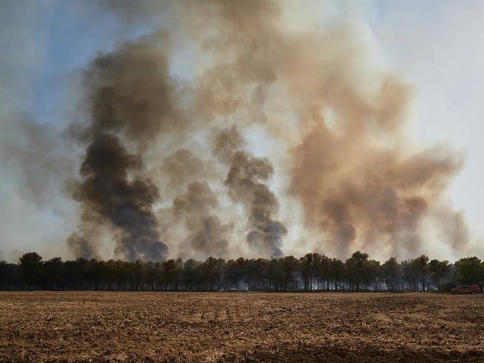 Imagen del incendio de Carcastillo.