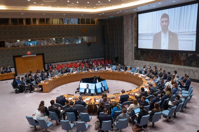 August 5, 2025, Bronx, New York, USA: Ilay David, brother of Evyatar David, who was featured ib Hamas released video, speaks virtually during Emergency Security Council meeting on situation in Middle East including Palestinian question at UN Headquarters 