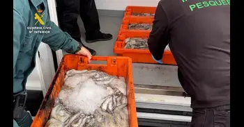 La Junta y el Seprona intervienen más de 500 kilos de pescado sin garantía alimentaria en La Rinconada (Sevilla)