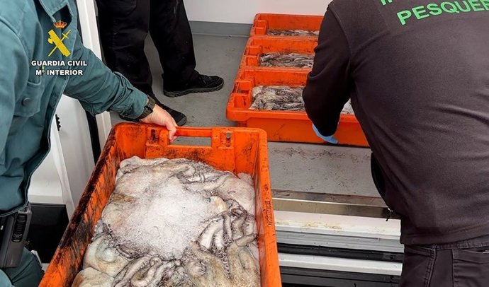 Pescado decomisado en La Rinconada.