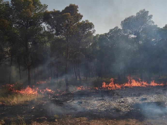 Imagen del incendio en Carcastillo