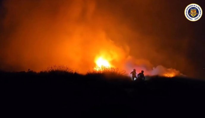 Incendio en la zona del Pinar de la Dehesa de las Yeguas de Puerto Real (Cádiz)
