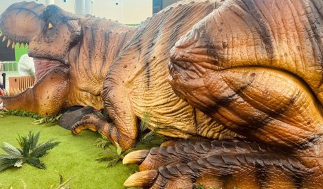 Comunicados Ocio y Deportes