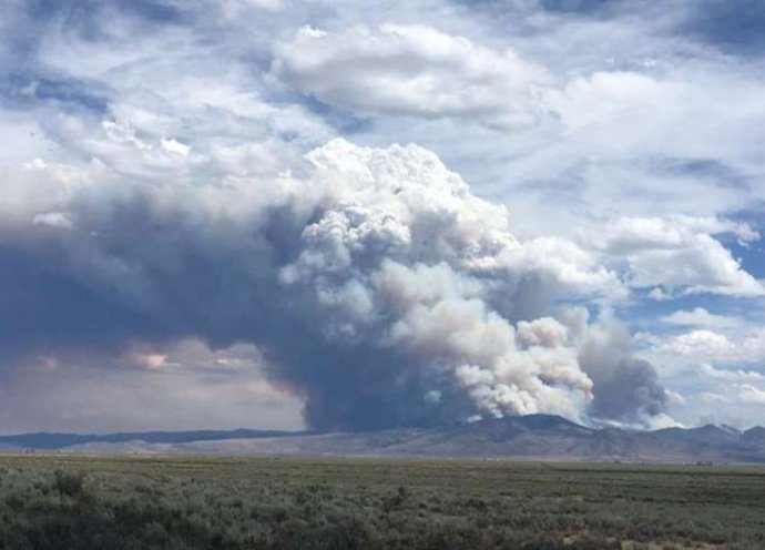 A pluma de fumaça do incêndio de Loyalton de 2020 no Monte Ina Coolbrith, no norte da Califórnia, perto da cidade de Calpine, em 15 de agosto de 2020.