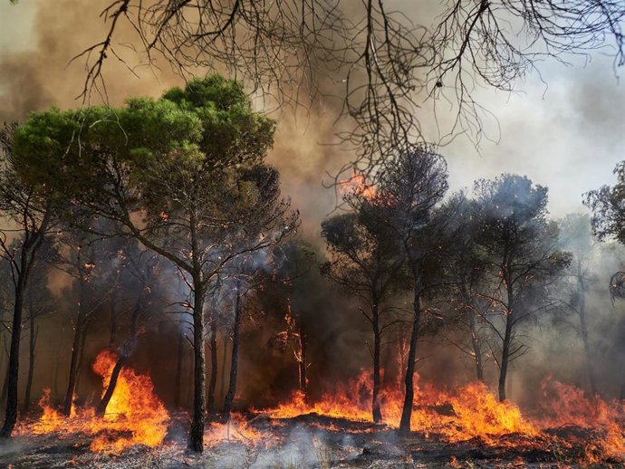 Imagen del incendio de Carcastillo