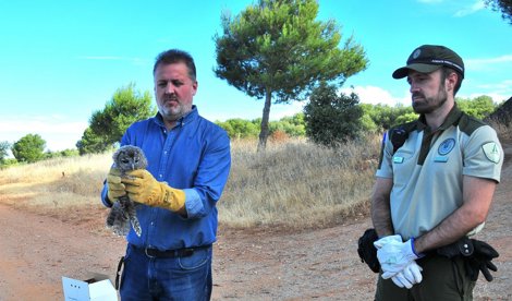 Es Andalucía - Granada