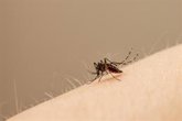 Foto: Desde principios de 2025, se han notificado 3,6 millones de casos de dengue y más de 1.900 muertes relacionadas