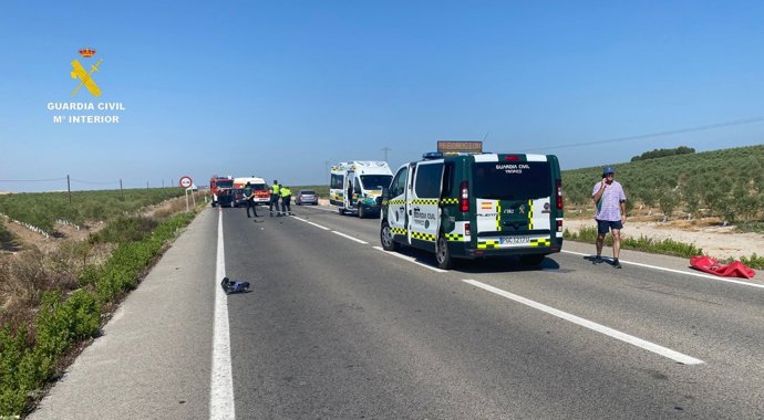 Vehículos de la Guardia Civil en el lugar del siniestro de cuatro vehículos en la A-471.