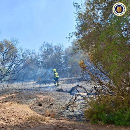 Incendio en la zona de Montecastillo este domingo 11 de agosto en Jerez de la Frontera