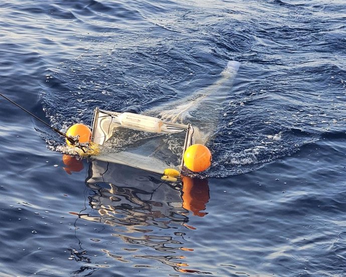 Campaña del IEO CSIC en el Mediterráneo