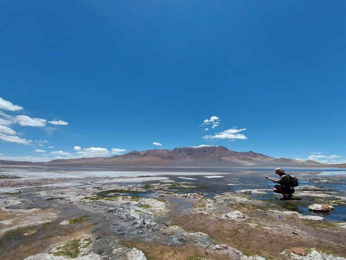 Archivo - Tomando muestras de agua y sedimento del “Salar Grande”, en el desierto de Atacama, Chile.