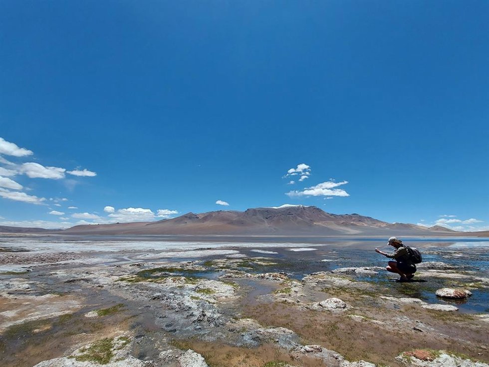 Archivo - Tomando muestras de agua y sedimento del Salar Grande, en el desierto de Atacama, Chile.