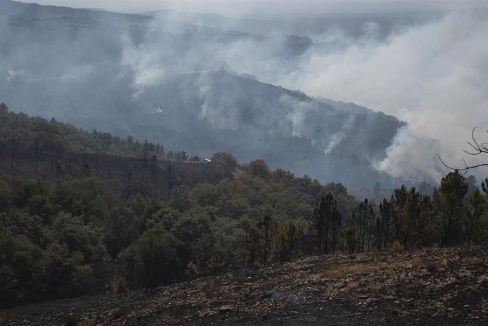 Trabajos de exxtinción a cargo del helicóptero de la BRIF de Laza en la serra de san Mamede, en el fuego por debajo de la aldea de Teixeira (Maceda), a 10 de agosto de 2025, en Maceda, Ourense, Galicia (España).