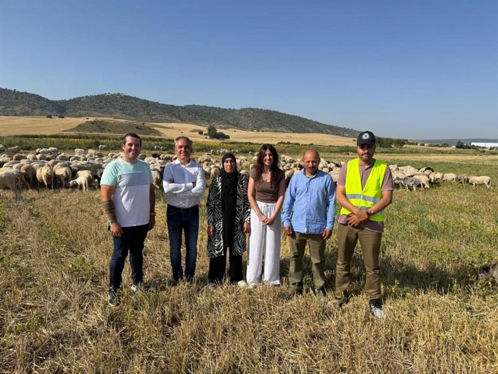C-LM ha pagado en lo que va de año más de seis millones a explotaciones ganaderas en ayudas para bienestar animal