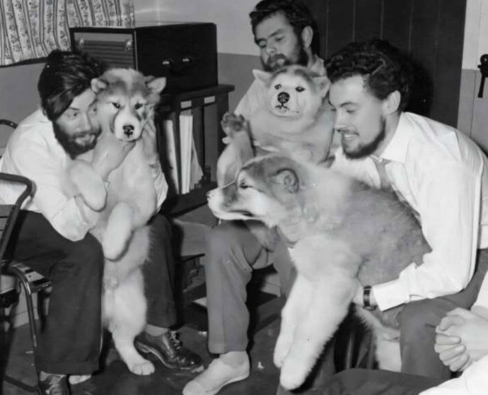 Dennis Bell (izquierda) con sus compañeros y los perros que los ayudaron a trabajar en la Antártida. Pleno invierno de 1959 en la Base de la Bahía del Almirantazgo.