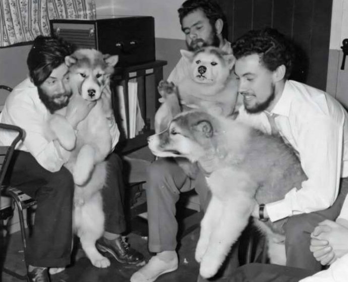 Dennis Bell (à esquerda) com seus colegas e os cães que os ajudaram a trabalhar na Antártica. Meio do inverno de 1959 na base de Admiralty Bay.