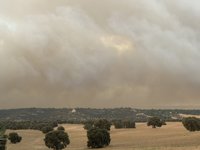 Un incendio de nivel 2 en Tres Cantos obliga a desalojar varias urbanizaciones y movilizar a la UME
