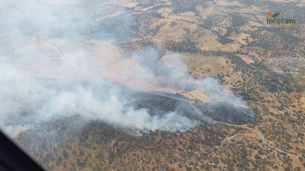 C-LM solicita la colaboración de la UME para intervenir en el incendio forestal de Navalmoralejo