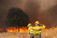 Evacuados 1.700 vecinos de León tras pasar a esta provincia el incendio de Molezuelas (Zamora)