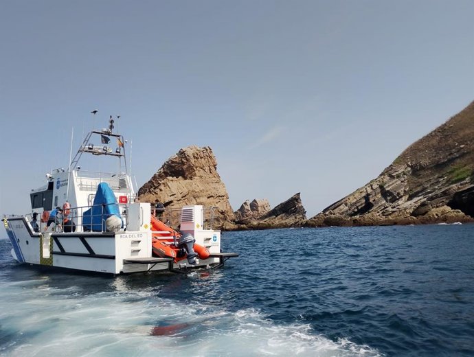 Medio Rural recoge muestras de una decena de pollos de gaviota muertos en la isla Herbosa, en el entorno de cabo Peñas.