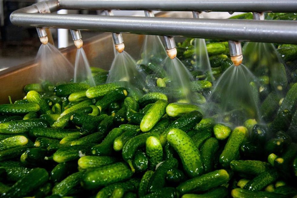 Las exportaciones hortofrutícolas crecen un 11% y superan los 4.555 millones entre enero y mayo de 2025.