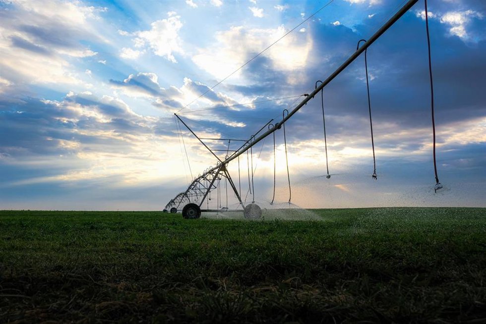 Archivo - Riego, regantes, campo, cosecha, pivot.