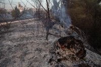 El fallecido en el incendio de Tres Cantos era un trabajador de una hípica de Soto de Viñuelas