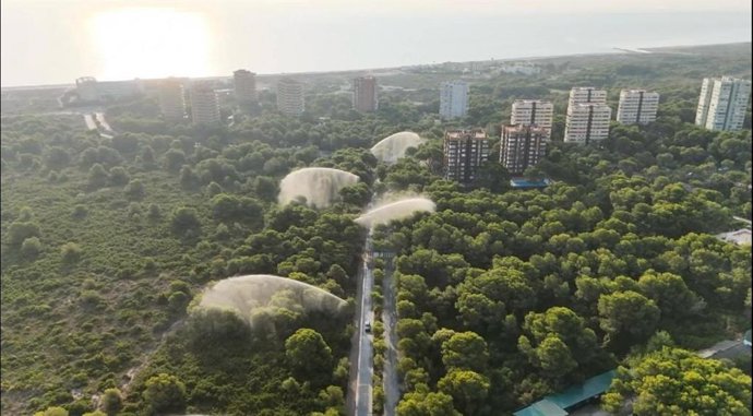 Cañones de agua este martes en el parque natural de la Devesa del Saler ante el riesgo extremo de incendios forestales