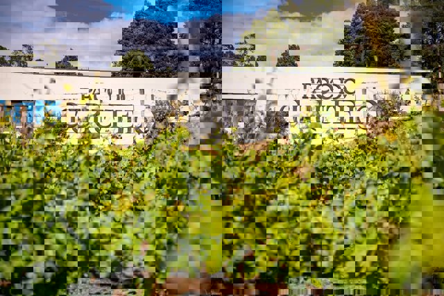 Enoturismo en Portugal