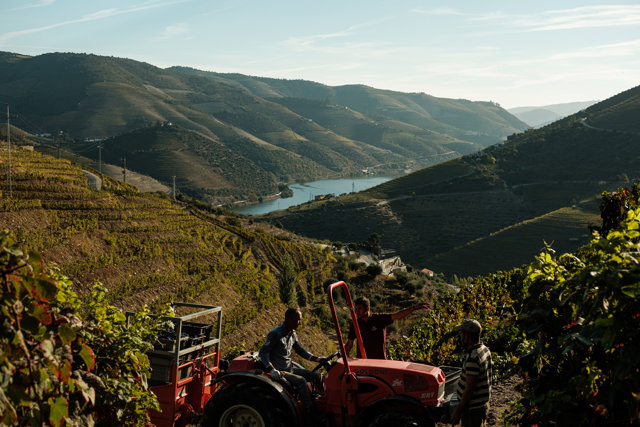 Enoturismo en Portugal