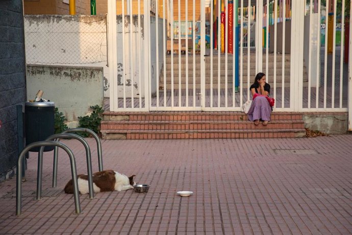 Vídeo de la noticia