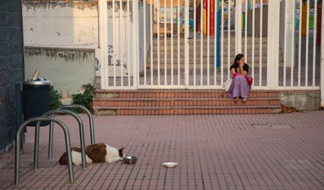 Sociedad