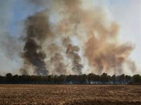 El incendio forestal de Carcastillo afecta a una superficie de 220 hectáreas