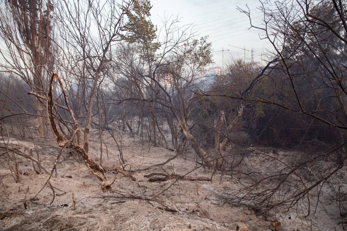 Campo queimado pelo incêndio de 12 de agosto de 2025 em Tres Cantos, Madri (Espanha). O incêndio na vegetação que começou no final da tarde de segunda-feira, 11 de agosto, em Tres Cantos, evoluiu favoravelmente durante a noite e está queimando perimetrica