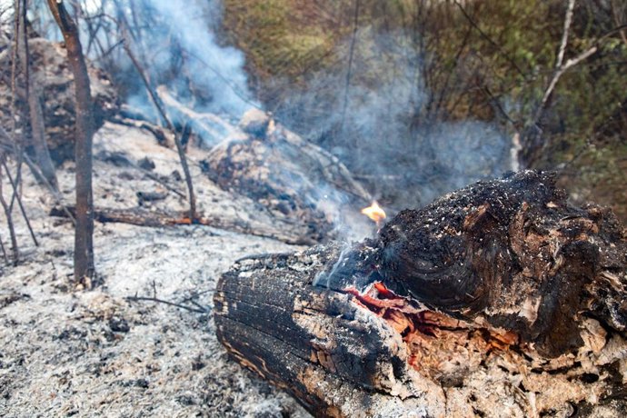 Campo queimado pelo incêndio de 12 de agosto de 2025 em Tres Cantos, Madri (Espanha). O incêndio na vegetação que começou no final da tarde de segunda-feira, 11 de agosto, em Tres Cantos, evoluiu favoravelmente durante a noite e está queimando perimetrica