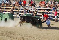Emergencias pide a los municipios que eviten programar 'bous al carrer' en las horas centrales del día