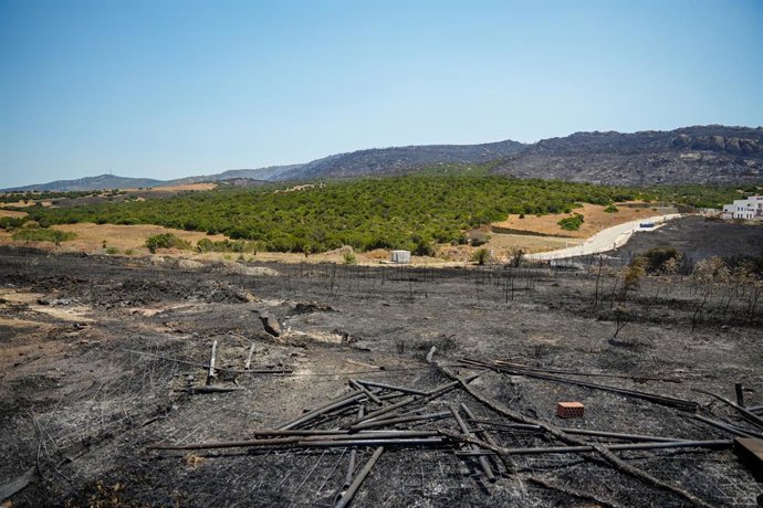 Imágenes del fuego de Tarifa. A12 de agosto de 2025. en Tarifa, Cádiz (Andalucía, España). Tras la reunión del Comité de Operaciones del Plan de Emergencia contra Incendios, el consejero de Presidencia, Antonio Sanz, reconocía el "gran trabajo" realizado 