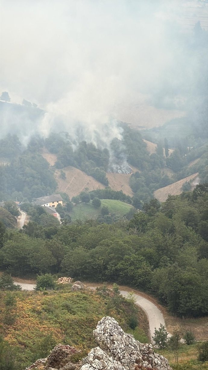 Incendio próximo a viviendas en Cangas del Narcea.