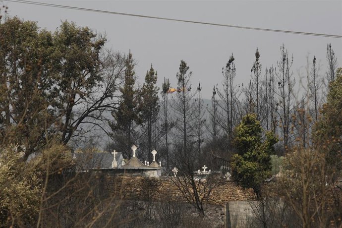 Campo quemado en la zona de Las Médulas, a 11 de agosto de 2025, en El Bierzo , León, Castilla y León (España)