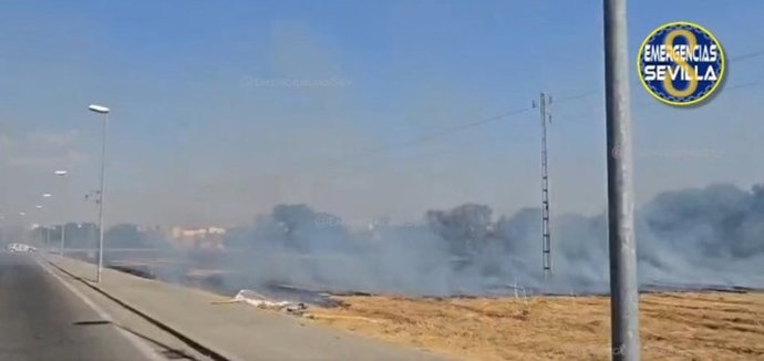 Carretera afectada por el humo del incendio de pastos.