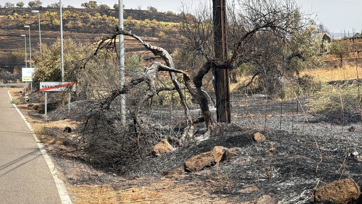 Sucesos.- El incendio de Navalmoralejo podría quedar perimetrado al 100% al final de la jornada